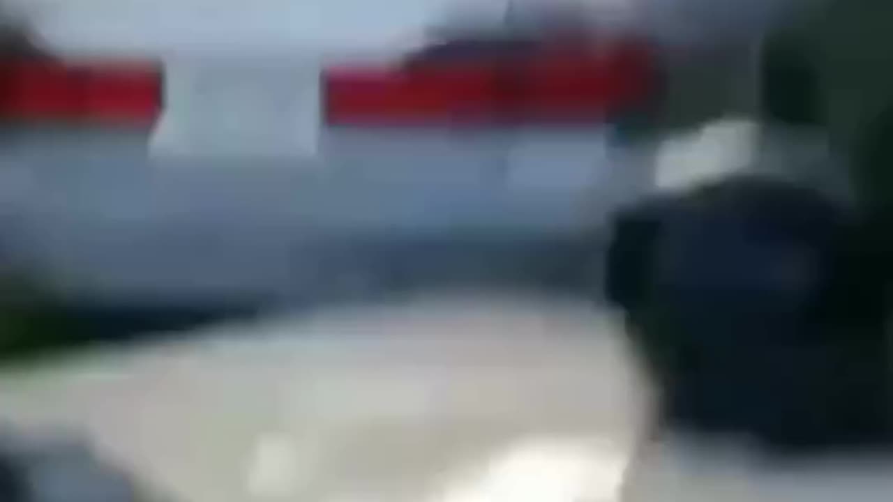 Funny shorts