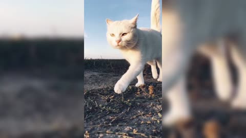 Hearing this music is like going back to that summer