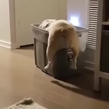 it's in here claudia