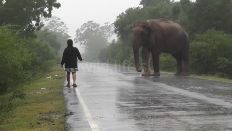 Woman and elephant!