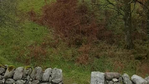 Loupin Stanes stone circle June 15, 2024