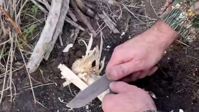 Making bread 🥖 on a stick #breadstick #survivalskill