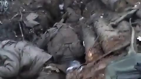 Looks Like A Party Down There