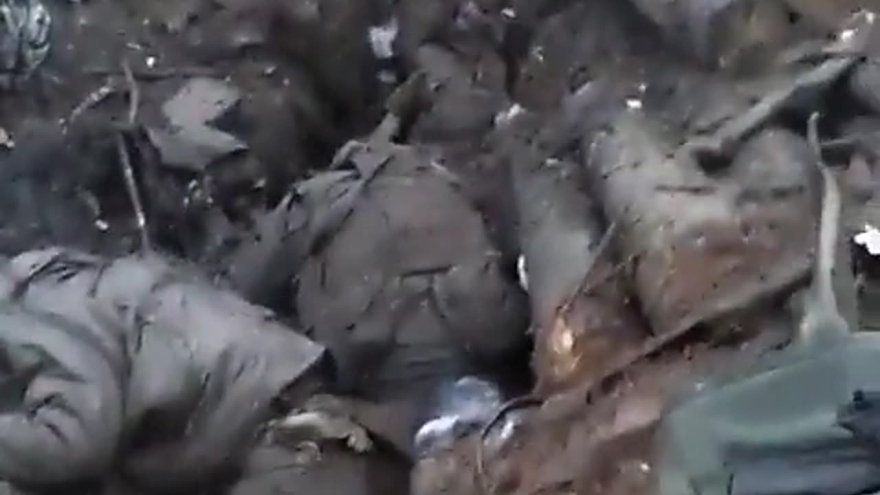 Looks Like A Party Down There