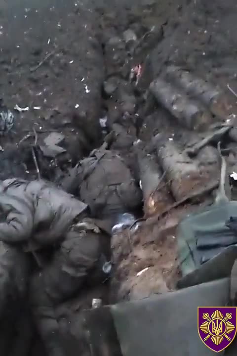 Looks Like A Party Down There