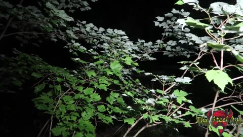 RED ASH CEMETERY HAUNTED TENNESSEE