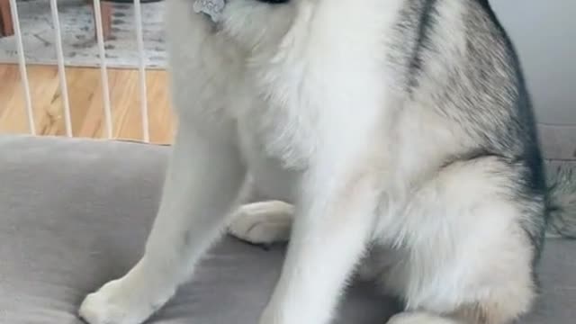 🥰 so cute🥰