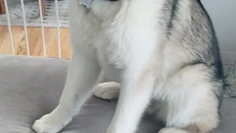 🥰 so cute🥰