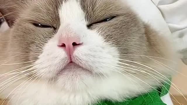 It kinda… worked 😅