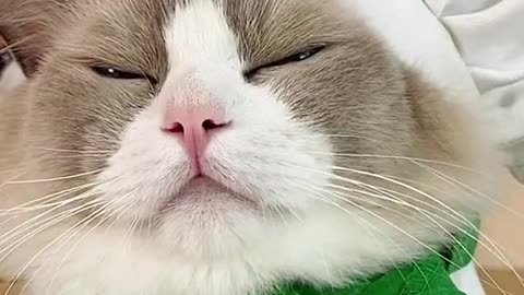 It kinda… worked 😅