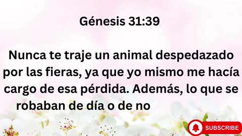 "Jacob huye de Labán y pacta con él" Génesis 31:1-55.