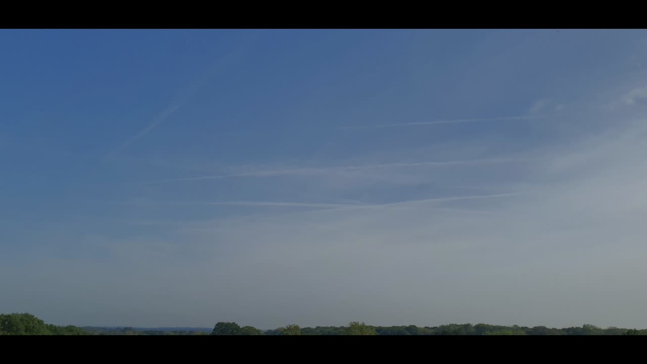 Skyduggery