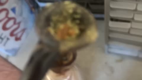 Day 28 The weather is warm enough to wear shorts:)