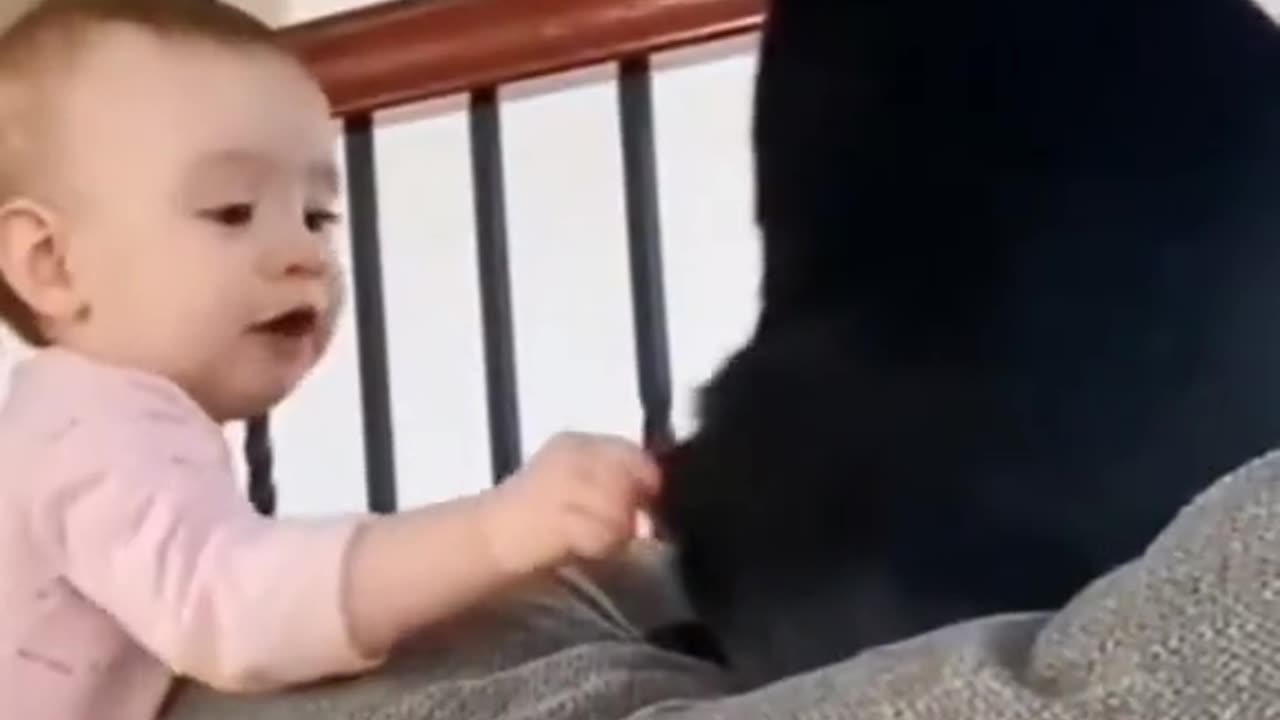 Cute cat playing with cute baby