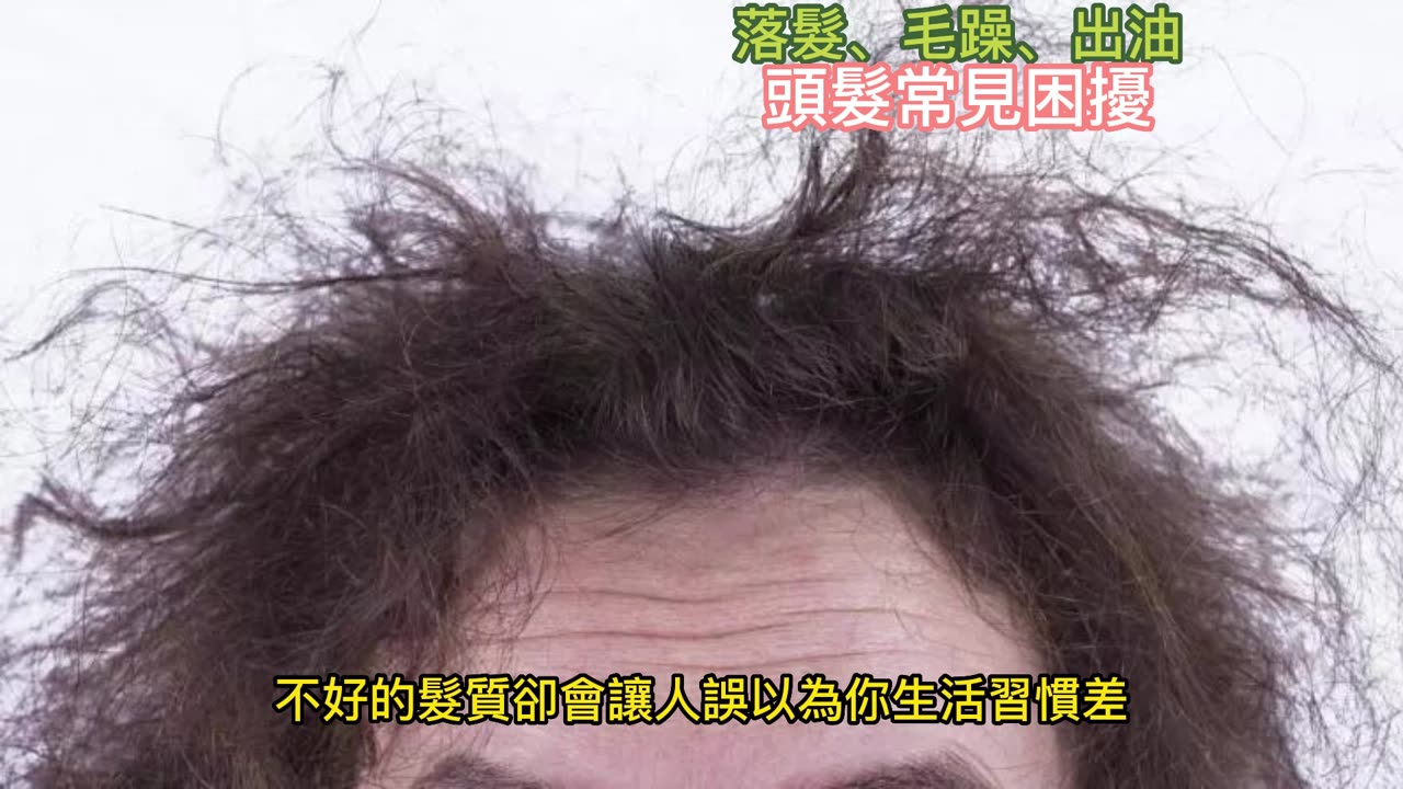 落髮、毛躁、出油 頭髮常見困擾