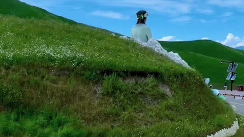 Lonely beekeepers watch the beautiful Nalati grassland.