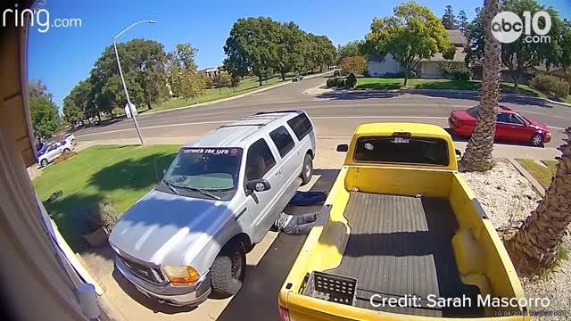 Catalytic Converter Thieves Get Thrashed by Angry Homeowners With Paintball Guns