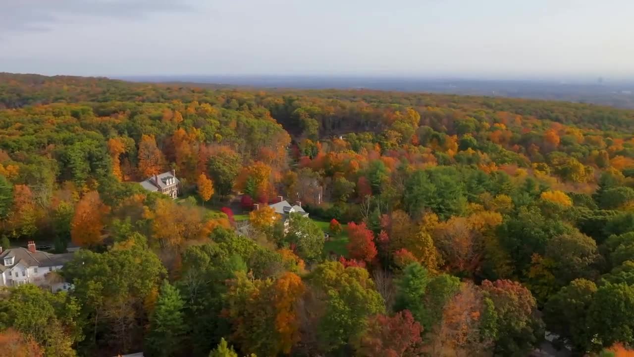 Enchanting Autumn Forests with Beautiful Piano Music