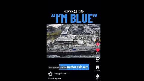 Operation "Blue"