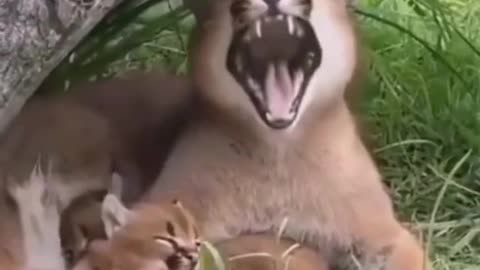 Funny meme compilation😂