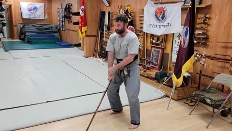 Not Very Good Hapkido Cane Techniques