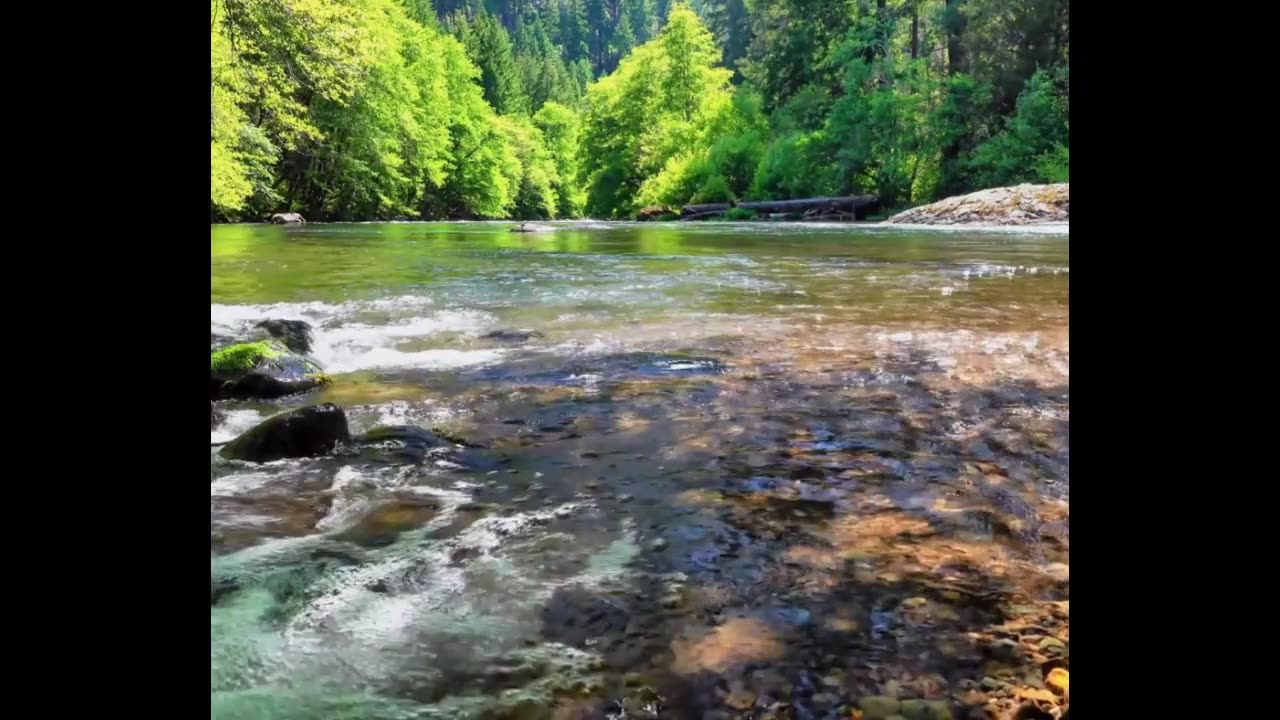 Flowing River in Nature - Relax