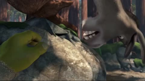 Donkey likes Shrek