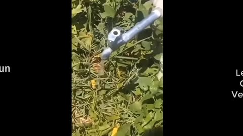 Funny video pt 2🤣🤣