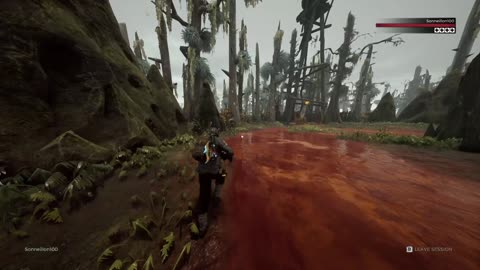 Remnant: From the Ashes / Hardcore Run
