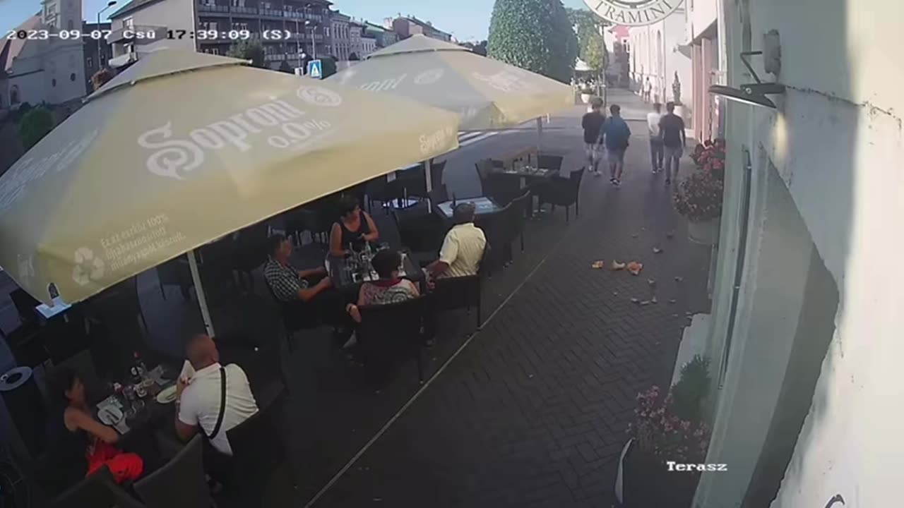 Egy cigány minden ok nélkül szétrúg egy kerámia kutyaitatót Sopronban