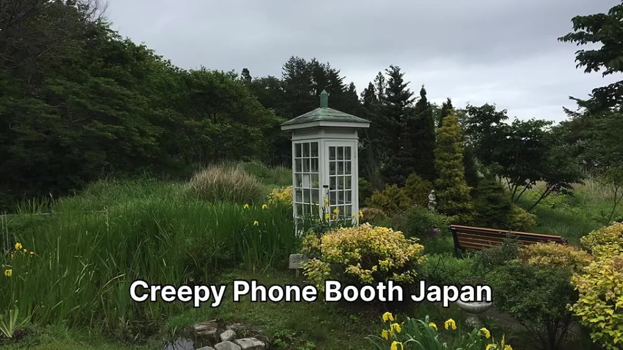 Phone line to the dead| Japan