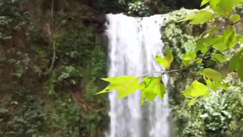 Beautiful Waterfall at Forest Video #3