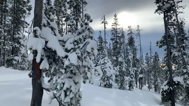 Sun Breaking Through Dark Grey Ominous Clouds – Central Oregon – Vista Butte Sno-Park – 4K