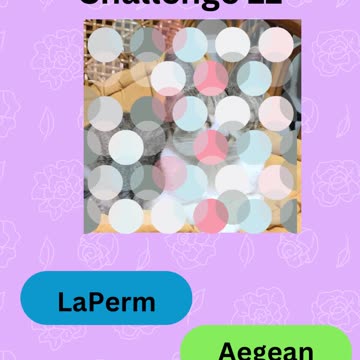 Purrfect Pets Quiz My Furry Friends Challenge 12