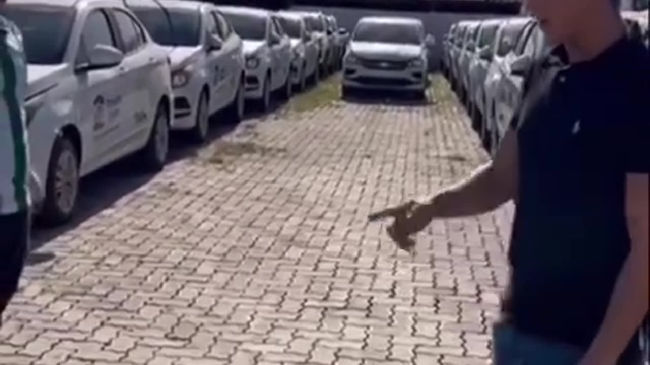 Carros parados há 6 meses por falta de adesivo Desgoverno Lula