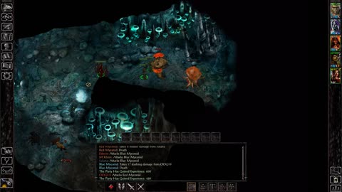 Baldur's Gate 1 - How to get Spellbreaker +2 and Elven Chain Mail