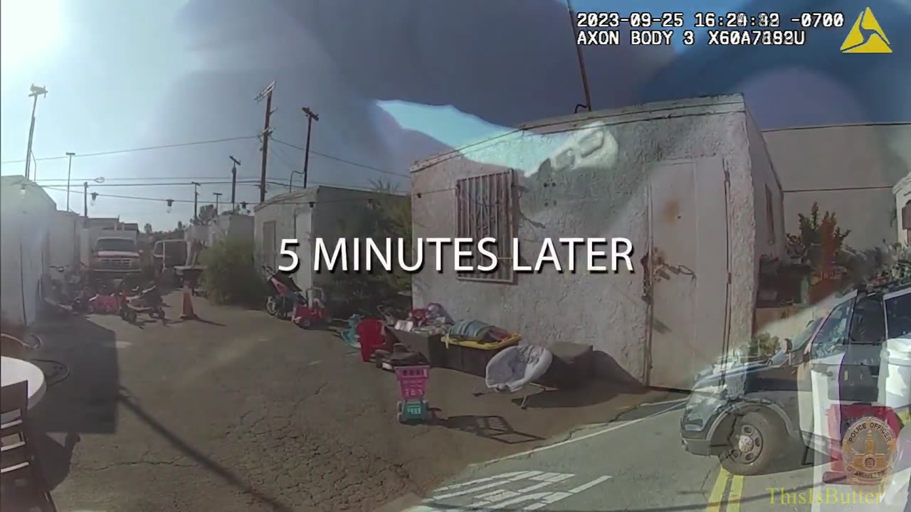 LAPD police chase a stolen vehicle which resulted the suspect being bit by a K9