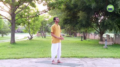 Beginners' Morning Yoga: A 10-Minute Practice to Stretch Your Back