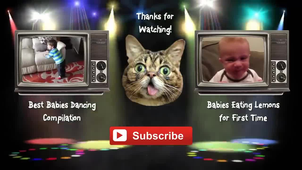 Funny Babies Laughing Hysterically at Dogs Compilation