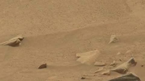 Mars Rover .Curiosity , Alien on Mars