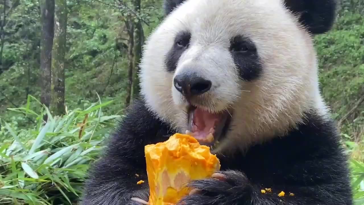 The happiest thing is to eat