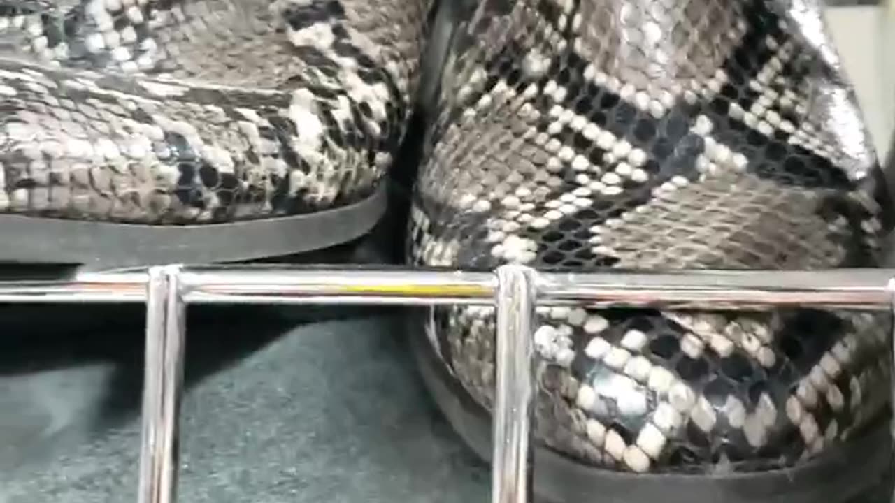 20 foot boots! 🐍 🐍 🐍