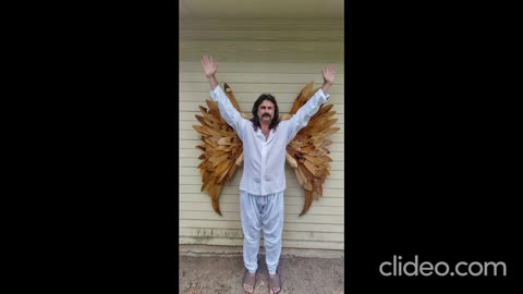 DANNY MASSEY ANGEL WINGS