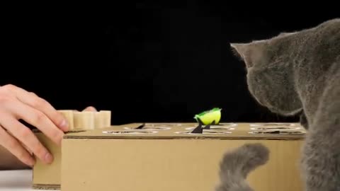 Funny video| Funny animal video| Cat play whack a mole game