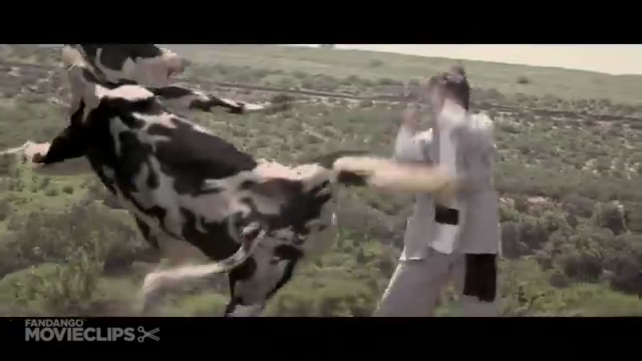 The caw kinfy fight funny video