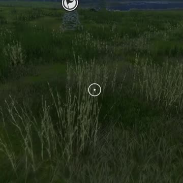 No way, I was Stealth! Hunter Call of the Wild