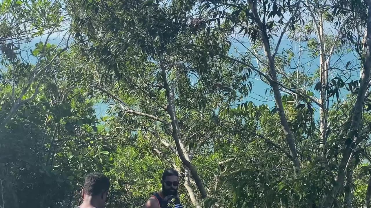 15/19 - Explorando a Trilha do Morro do Macaco em Bombinhas: Uma Experiência Imersiva! #bombinhas