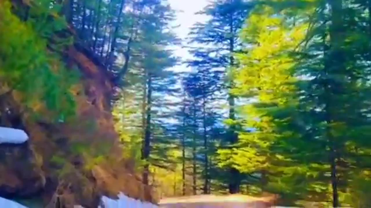 road trip