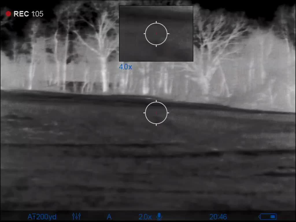 Coyote hunting thermal scope