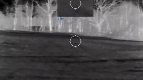 Coyote hunting thermal scope
